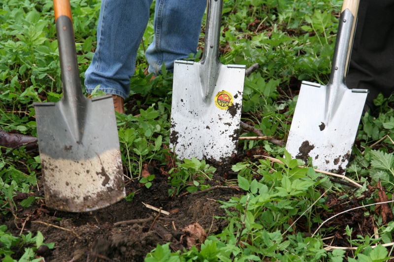 pepiniere-ASCROS-min_work-lawn-flower-tool-green-backyard-1103633-pxhere.com